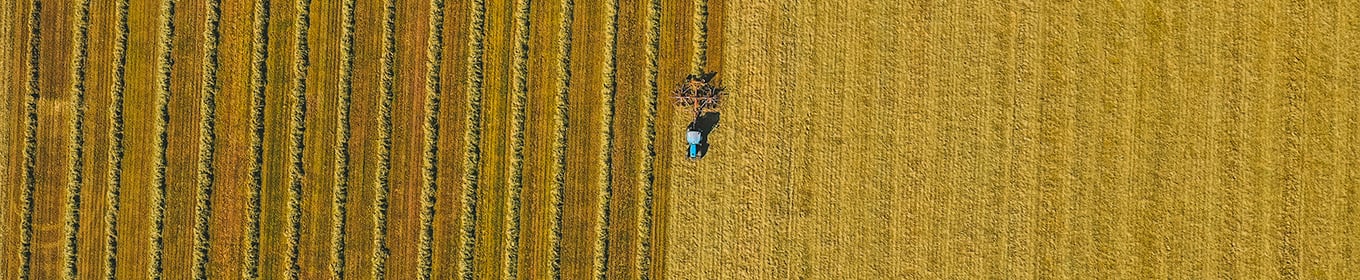 Hållbara leverantörer
