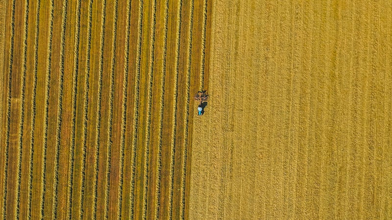 Hållbara leverantörer