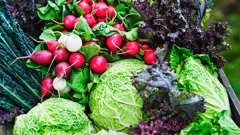 Minskat matsvinn och avfall