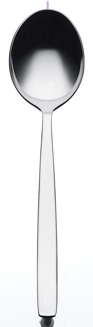 Bistro Förrättssked Rostfri 180mm