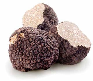 Tryffelsvamp Bourgonge