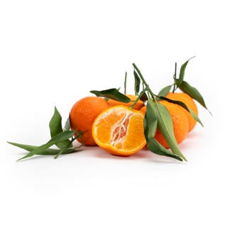 Clementin med Blad Klass 1