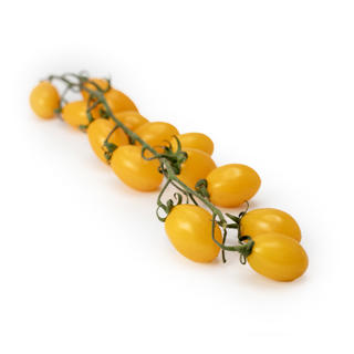 Tomat Datterini Gul Klass 1