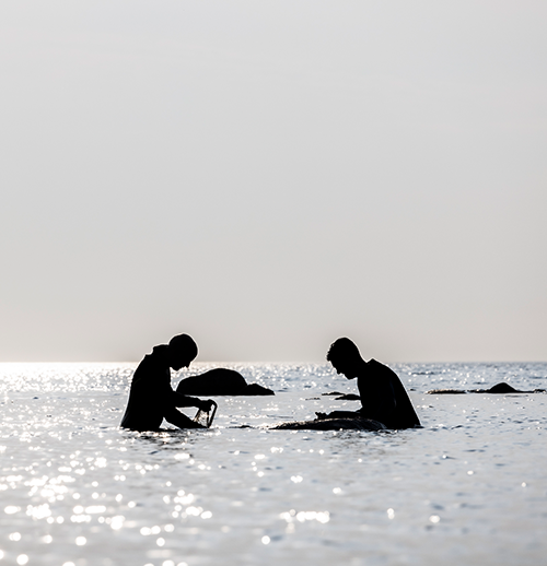 Gotlands Ginfabrik grundades och drivs av Sakarias Ronquist och Mathias Jöhnk. Inspirationen till ginflaskorna kommer från mötet mellan havet och den gotländska kustens vågsvall.